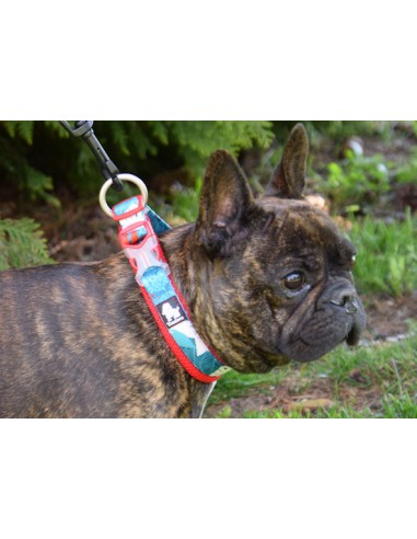 Bulldog français avec un collier Truelove special édition camouflage bleu et rouge