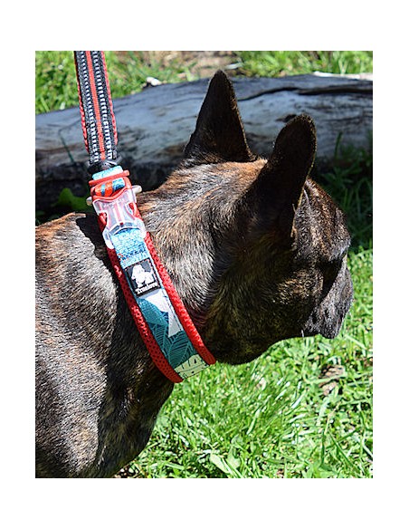 Bulldog français avec un collier Truelove special édition camouflage bleu et rouge et une laisse rouge