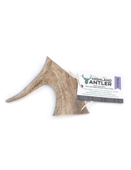 Bois de daim taille moyenne