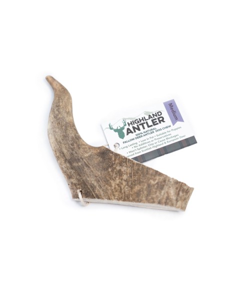 Bois de daim taille M