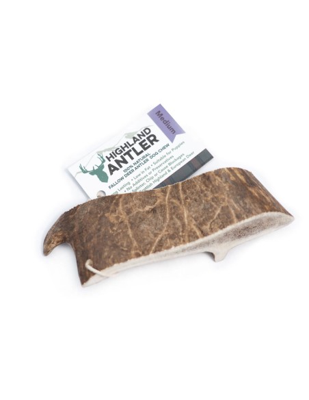 Bois de daim taille moyenne