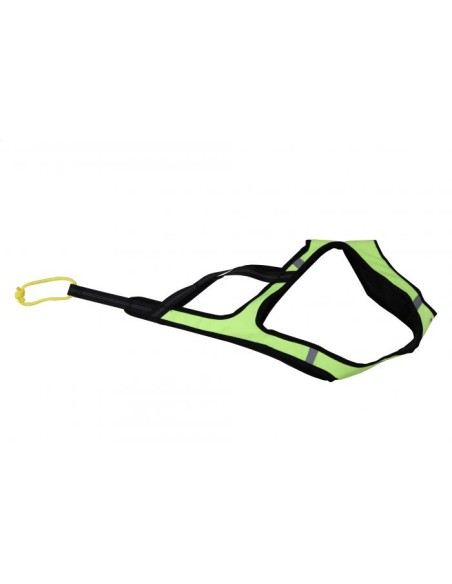 kit canicross 1 chien : ceinture ligne harnais