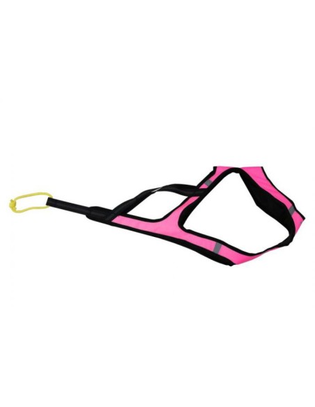 kit canicross 1 chien : ceinture ligne harnais