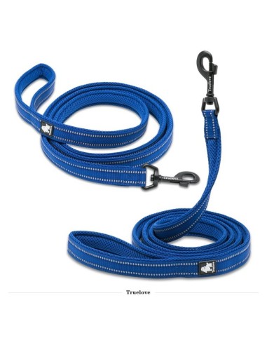 Laisse truelove bleu royal en deux vue différentes