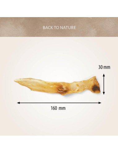 Oreilles de lapin 100 gr Antos dimensions