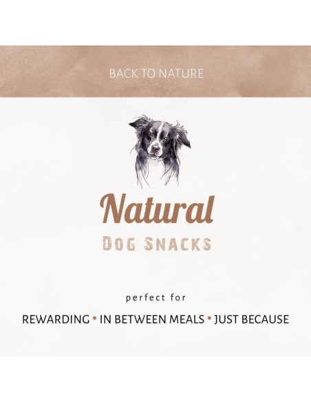 groin de cochon naturel séché une friandise naturelle