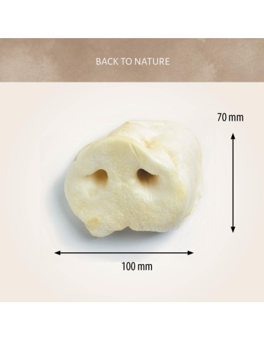 dimensions approximatives du groin de cochon naturel séché