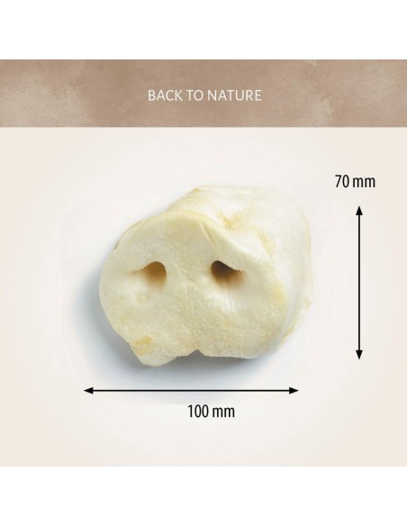 dimensions approximatives du groin de cochon naturel séché