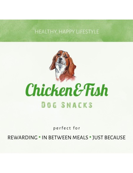 Logo du chicken and fish Logo du chicken and fish