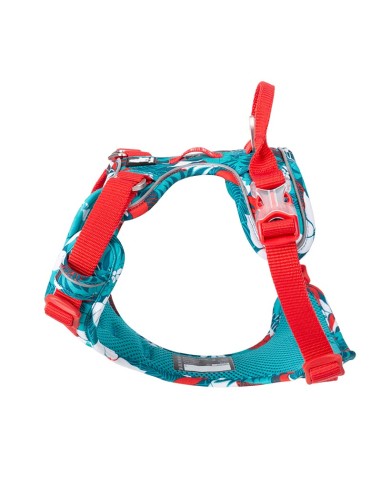 Harnais Country+ spécial édition Truelove vue de côté gauche - rouge et bleu - kaliboutik