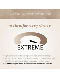 Corne de Buffle pour chien 2