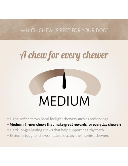 Dureté du groin de cochon naturel séché