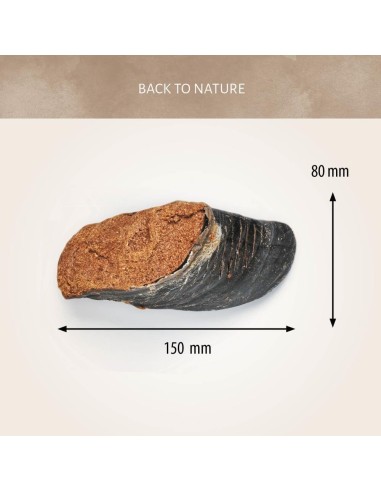 Sabot de Veau naturel fourré au Boeuf