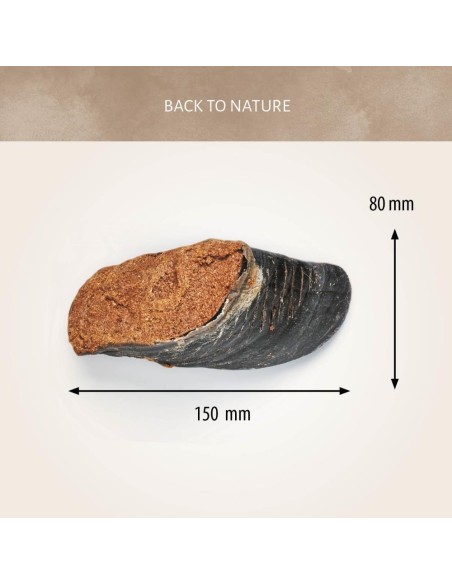 Sabot de Veau naturel fourré au Boeuf