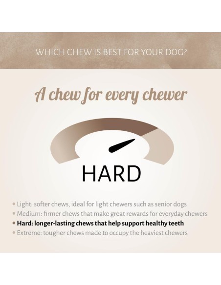 Trachée de Boeuf naturelle