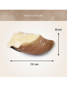 Sabot de Veau fourré à la graisse de mouton 2