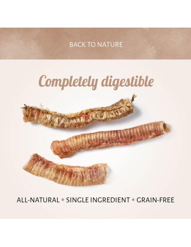 Trachée de Boeuf naturelle