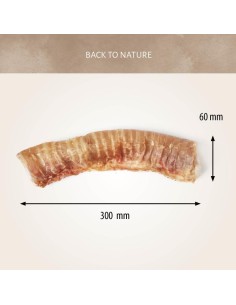 Trachée de Boeuf naturelle 2