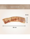 Trachée de Boeuf naturelle