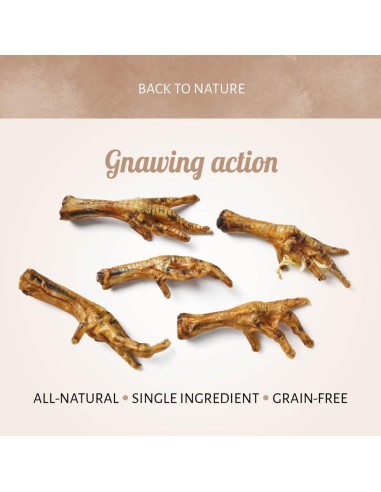 Pattes de Poulet naturelles