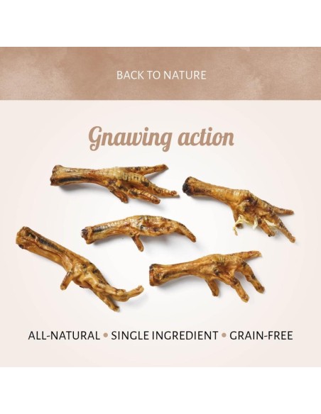 Pattes de Poulet naturelles