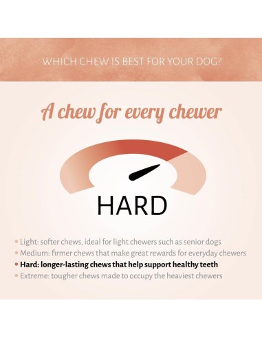 Dureté de l'os à macher avec pharynx de boeuf. Antos ROLL STICK WHITE + GULLETS