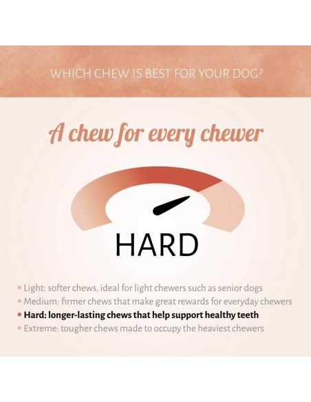 Dureté de l'os à macher avec pharynx de boeuf. Antos ROLL STICK WHITE + GULLETS