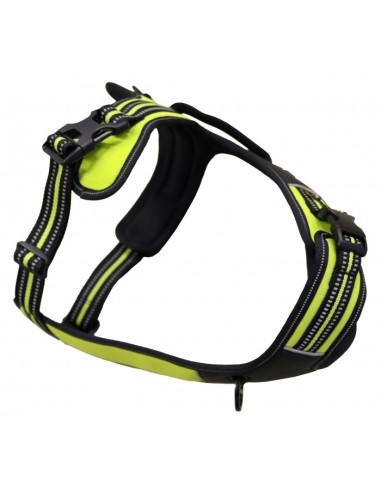 Harnais axaeco - Harness 4 Season Power vue de gauche - jaune