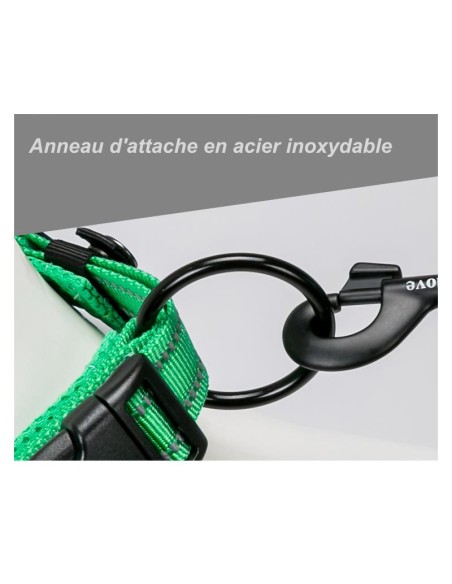 Collier Truelove Flex vue de l'anneau d'attache
