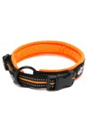 Collier Truelove Flex