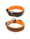 Collier Truelove Flex