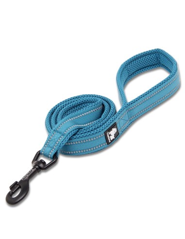 Laisse truelove bleue enroulée