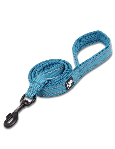 Laisse truelove bleue enroulée