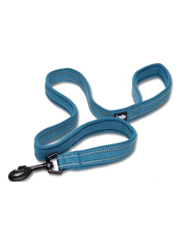 Laisse truelove bleue