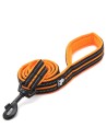 Laisse Truelove Flex