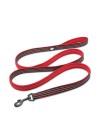 Laisse Truelove Flex