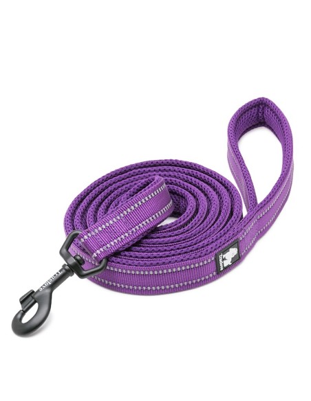 Laisse truelove violette enroulée