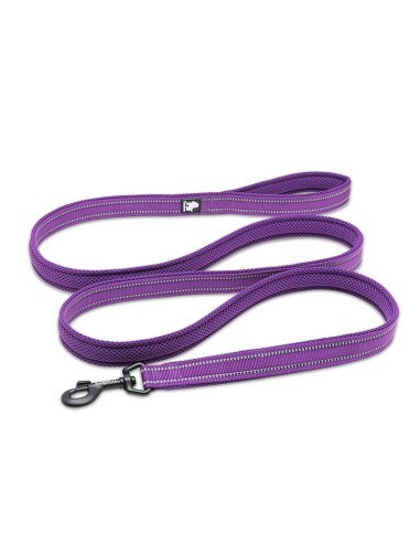 Laisse truelove violette