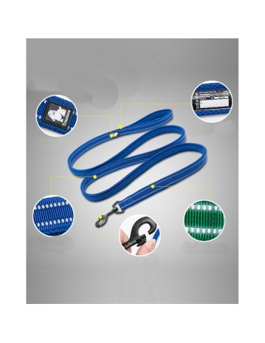 Laisse truelove description en image