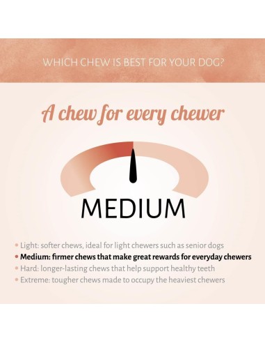 Bâtonnets Os à macher par lot de 3. Antos MINI ROLL 3 PCES BLANC