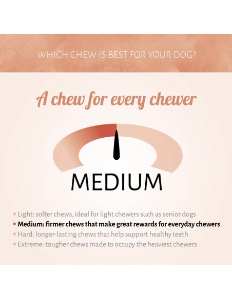 Bâtonnets Os à macher par lot de 3. Antos MINI ROLL 3 PCES BLANC