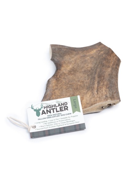 Bois de Daim pour Chien : Mastication Naturelle et Saine