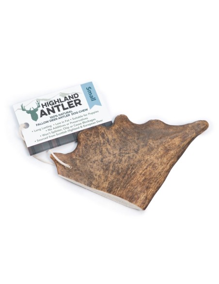 Bois de daim de petite taille