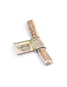 bois de cerf grande taille tranché