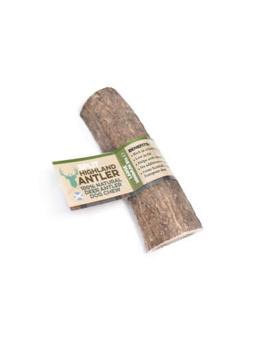 Bois de cerf de grande taille fendue