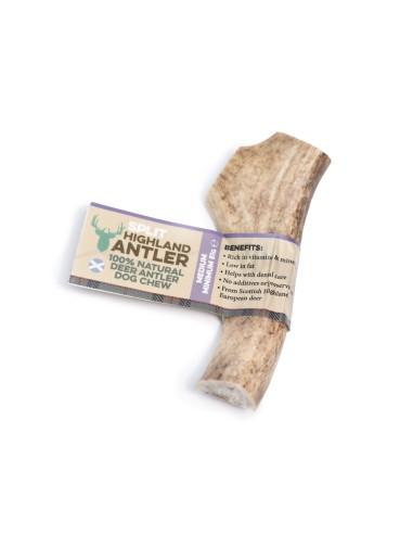 Bois de cerf fendue de taille moyenne