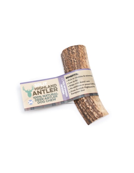 Bois de cerf taille moyenne tranché