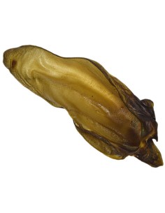 Oreille de bœuf avec conque vue de face