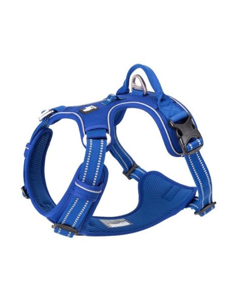 Harnais Country+ Truelove - Bleu royal - kaliboutik