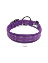 Collier Truelove Flex